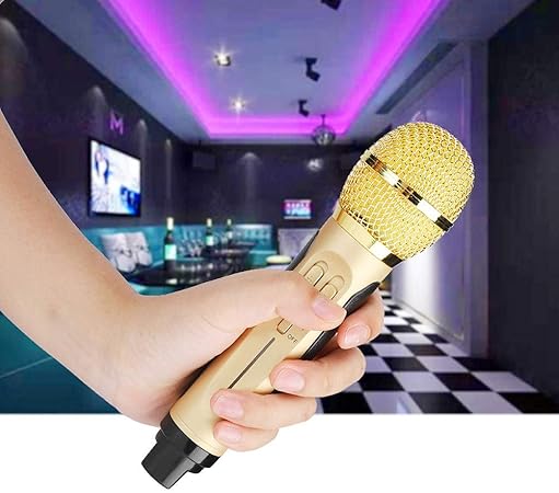 Dual Wireless Microphone Bluetooth Karaoke Speaker Set | Portable Karaoke System for Home, Parties, and Events